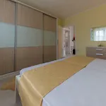 Danijela Ii *