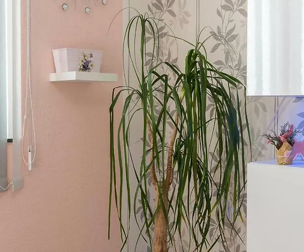 Danijela Ii * 시베니크